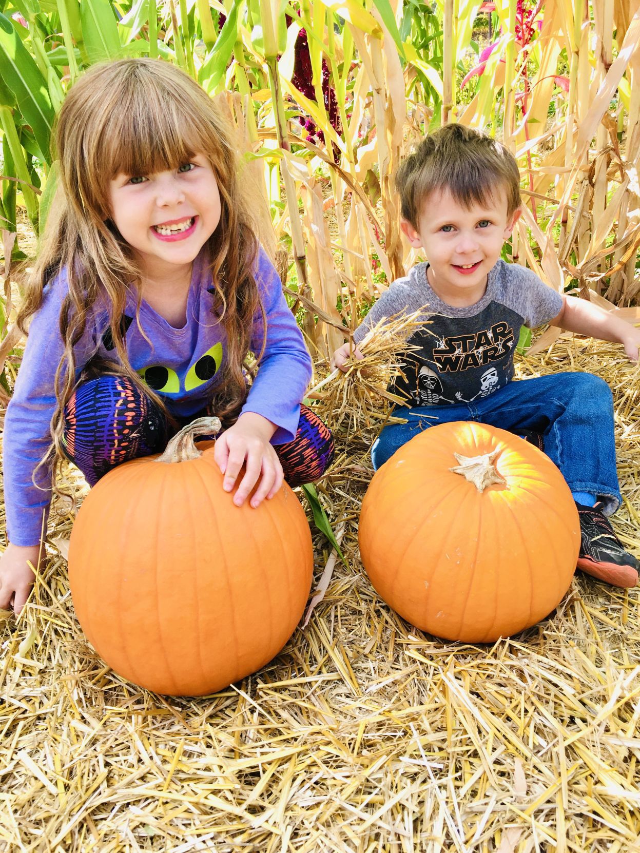 Picking Pumpkins 2019